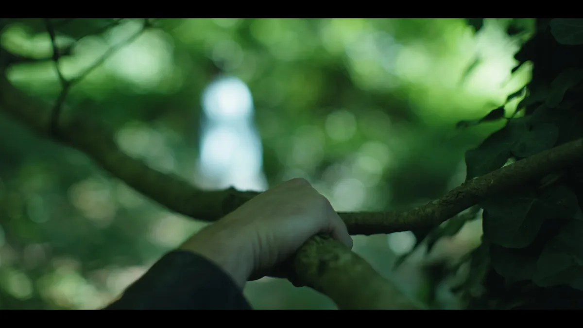 Close-up of a hand gripping a mossy branch amid dense green foliage, blurred light visible in the background.