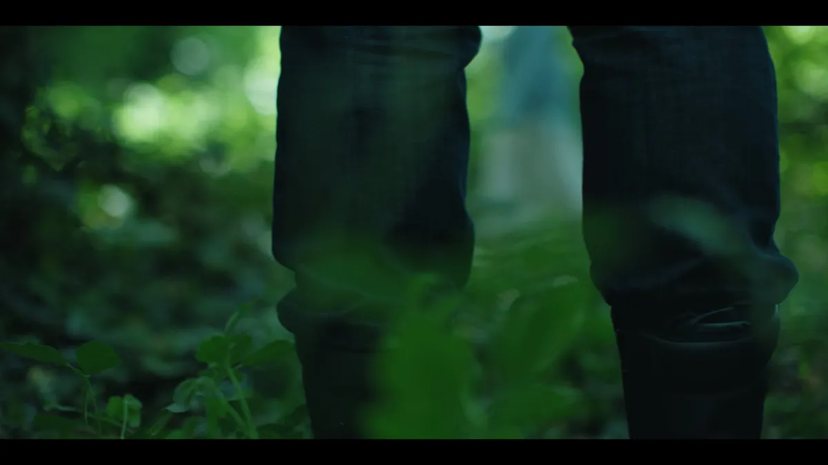 Close-up of a person's legs in dark trousers walking through undergrowth, surrounded by out-of-focus green foliage.